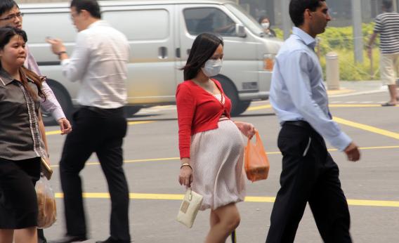 170997208.jpg.CROP.rectangle3-large
