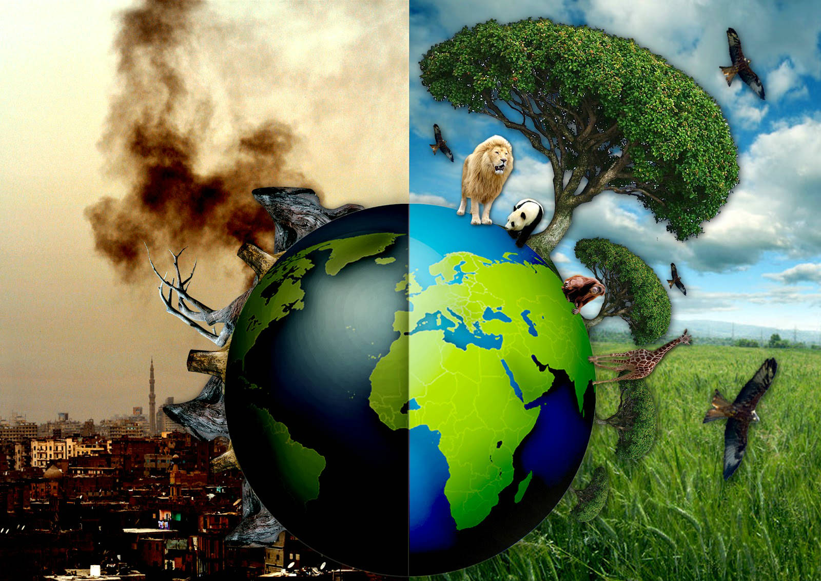 Save-The-Earth