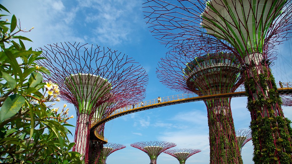 Singapore-Gardens-By-The-Bay-39535