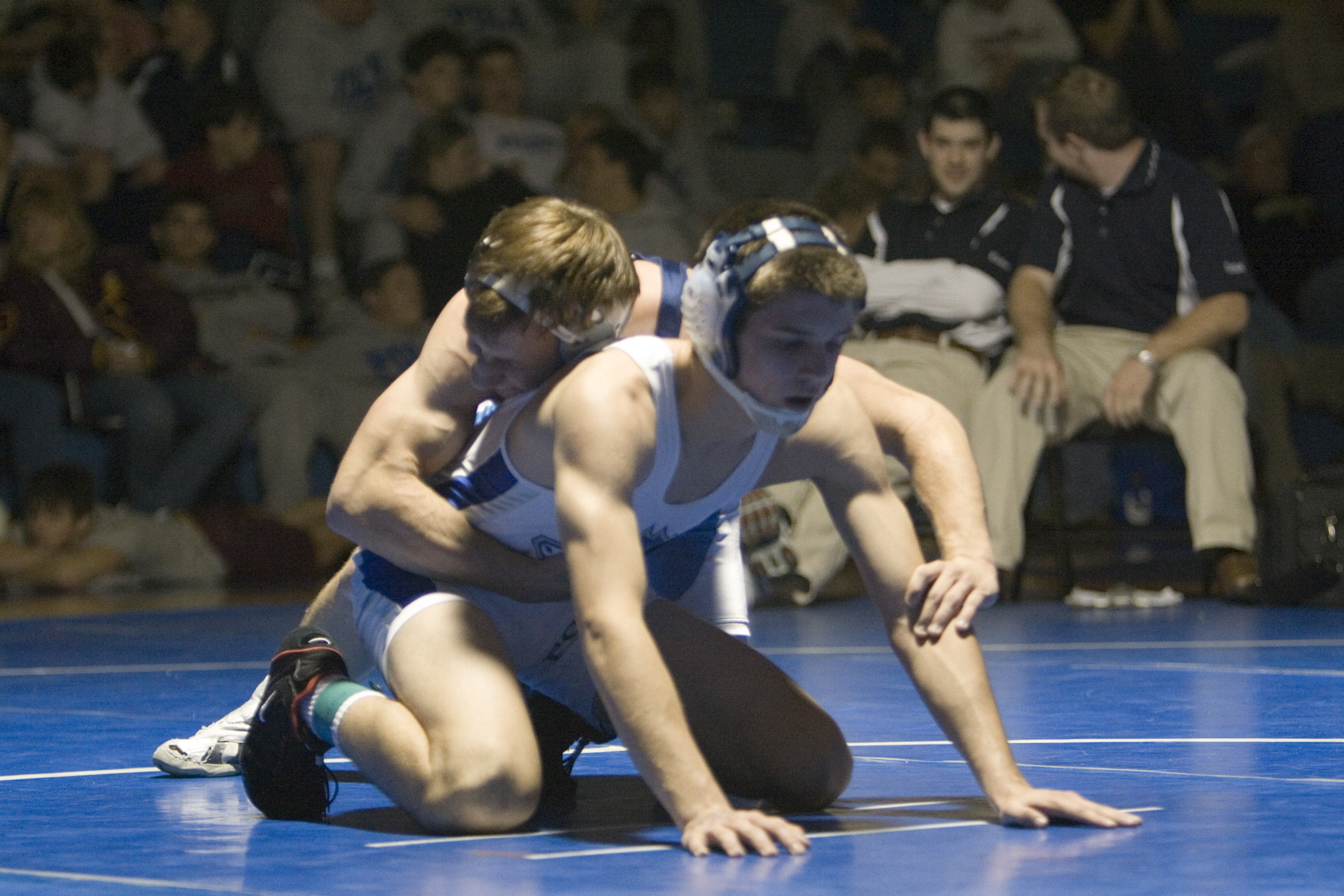 Furies Grapple in Falcon Frenzy