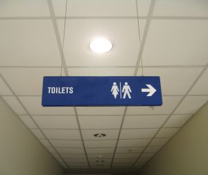 toilet